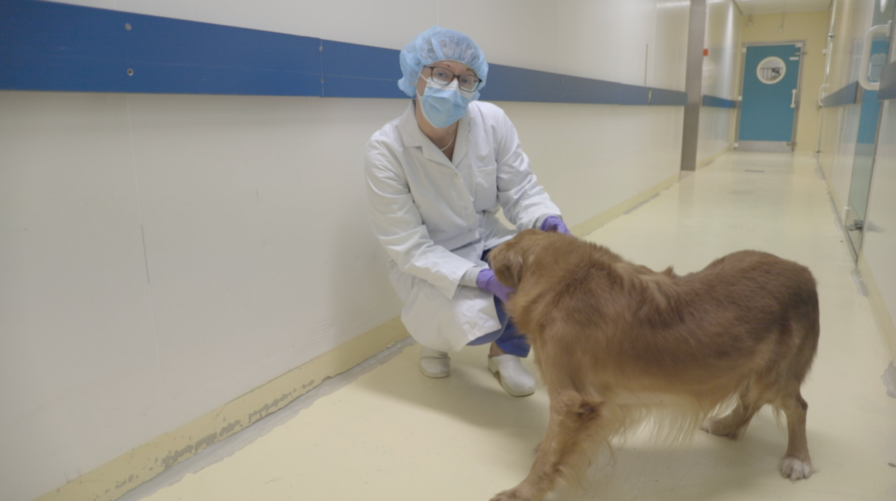 Essai clinique Myopathie de Duchenne