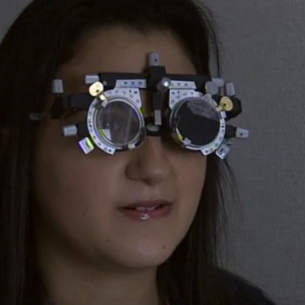 Ce film documentaire retrace l'histoire de ces malades et leurs familles atteints d'une maladie génétique rare de la vision l'amaurose de Leber traités dans le cadre d'un essai clinique de thérapie génique.